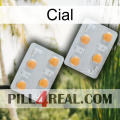 Cial 25